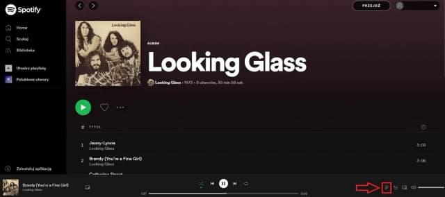 Jak włączyć napisy na Spotify i cieszyć się muzyką z tekstami Jak włączyć napisy na Spotify i cieszyć się muzyką z tekstami